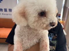 -申普宠物医院·眼科·心内科·影像科(普陀分院)