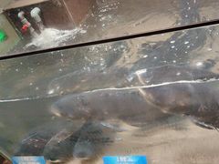 -上名堂·鱼头好吃(体育场路店)