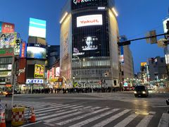 -涩谷全向十字路口