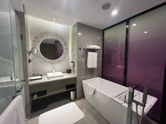 -南京禄口机场雅高铂尔曼大酒店