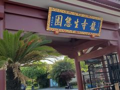 -龙寺生态园