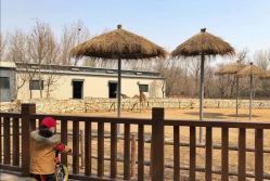 -酷酷兔少儿拓展天地