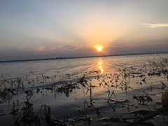 -金沙湖旅游度假区