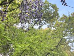 -徐家汇源景区-衡山公园