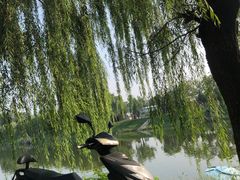 -尚庄度假村·庭台树下·户外烧烤·团建CS·轰趴营地(上庄水库店)