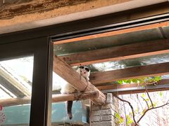 -老屋咖啡