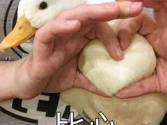 -超级魔厨(地王店)