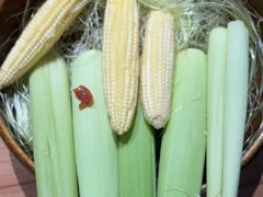 -巴奴毛肚火锅(安阳相州店)