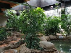 -三江森林温泉度假区