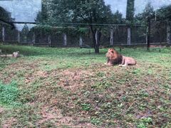 -西安秦岭野生动物园