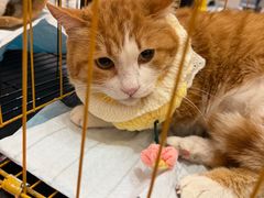 -北京华联购物中心(天通苑店)