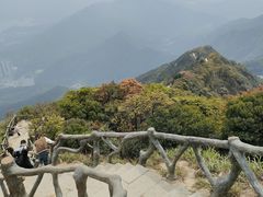 -梧桐山风景名胜区