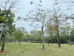 -文华公园(禅城区)