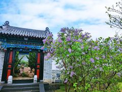 -蓬莱阁景区