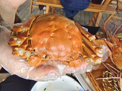 -渔娘蟹庄(阳澄湖莲花岛店)