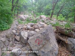 -阳台山自然风景区