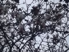 -龙头寺公园