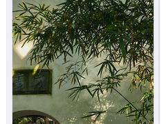 -西园寺
