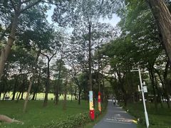 -荔香公园