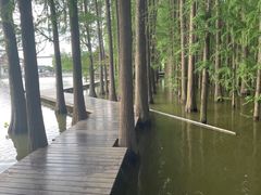 -采石矶景区