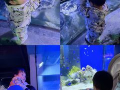 -蓬莱欧乐堡海洋极地世界