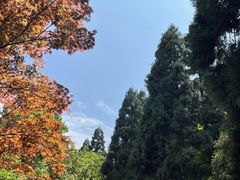 -莫干山风景区
