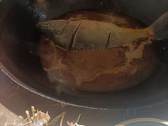 -肥鱼屯活鱼锅(惠工街店)