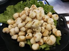 -东椰·海南椰子鸡火锅(朝阳门店)