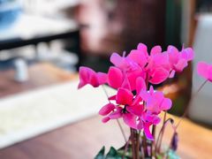 -漫渡庄绿岛花园•隐世庭园菜(滨湖店)