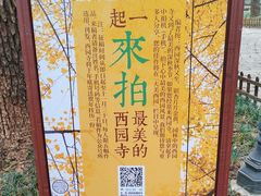 -西园戒幢律寺
