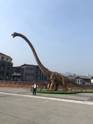 点击看大图 -恐龙探索乐园(磁器口店)