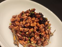 -北京老铺烤鸭(老城根店)