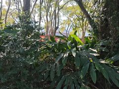 -福清灵石山国家森林公园