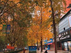 -张豆花(碚峡路店)