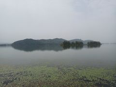 -东湖落雁景区