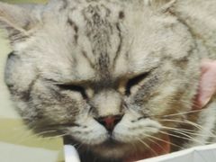-小时光咖啡馆(开森度假森林店)