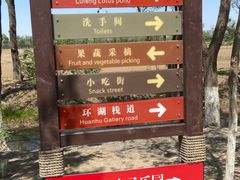 -西青郊野公园