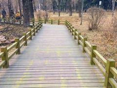 -长春市南湖公园