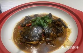 Poyang Lake Ecological Softshell Turtle