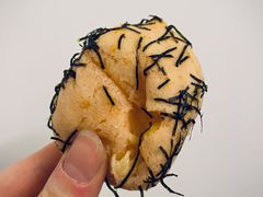 -都恩客(高岛屋百货店)