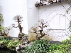 -莹珠阁·私房菜