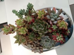 -颜蕾医美·黄金微针·水光·玻尿酸·超声炮·抗衰中心