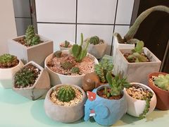 -蜜蜂小象·榴莲千层蛋糕(时代汇11栋店)