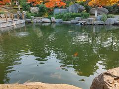 -中国唐苑
