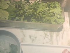 -东道煮牛肉火锅(东盛大街店)