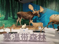 -中国湿地博物馆