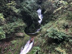 -牛背梁国家森林公园
