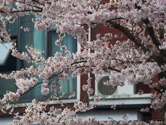 -永乐路-路侧停车场