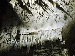 iphone_upload_pic-怀托摩萤火虫洞