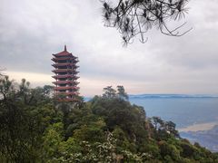 -缙云山景区